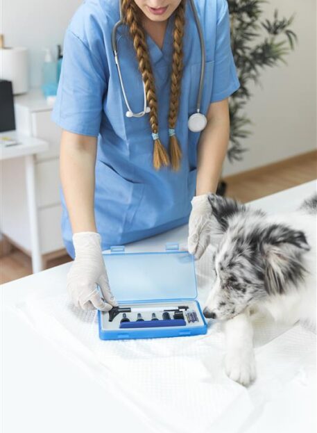 media_20250417_150923_102509380979072211