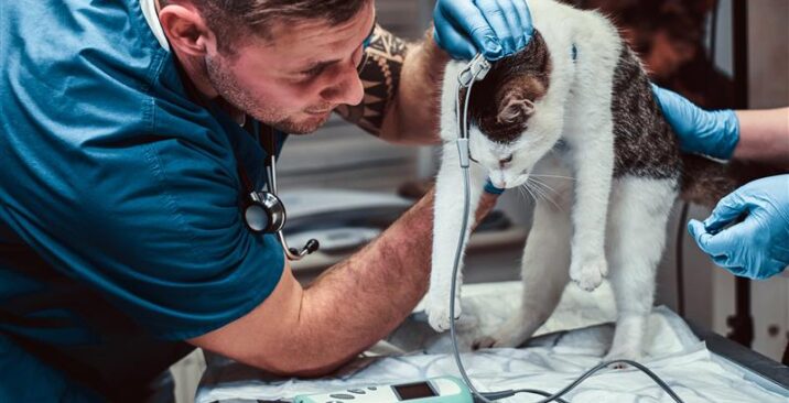 media_20250417_150923_4388732877434297153